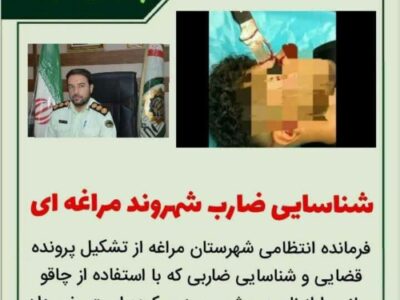 دستگیری ضارب شهروند مراغه ای در کمتر از ۲۴ ساعت