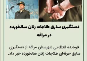 🔴دستگیری سارق طلاجات زنان سالخورده در مراغه