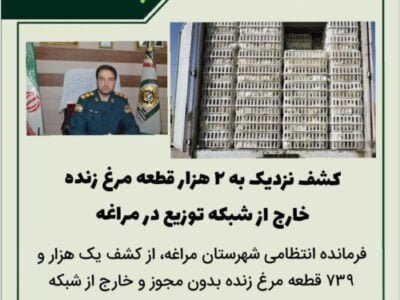  🔴کشف نزدیک به ۲ هزار قطعه مرغ زنده خارج از شبکه توزیع در مراغه