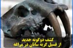 💢کشف دوگونه جدید از فسیل گربه سانان در مراغه