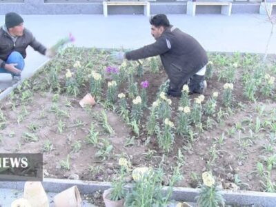 کاشت ۱۵ هزار گلدان برای استقبال از سال نو در مراغه