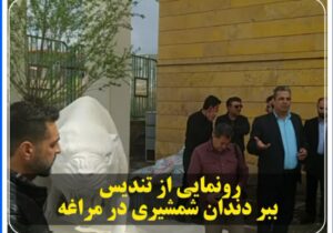 رونمایی از تندیس ببر دندان شمشیری در مراغه