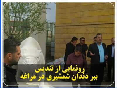 رونمایی از تندیس ببر دندان شمشیری در مراغه