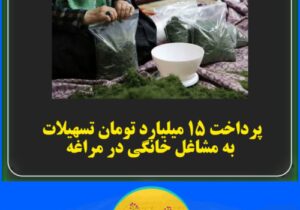 پرداخت ۱۵میلیارد میلیون تومان تسهیلات به مشاغل خانگی در مراغه