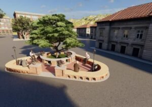 اهتمام شهرداری برای حفاظت از درخت نارون کهنسال مراغه