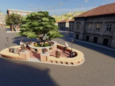 اهتمام شهرداری برای حفاظت از درخت نارون کهنسال مراغه