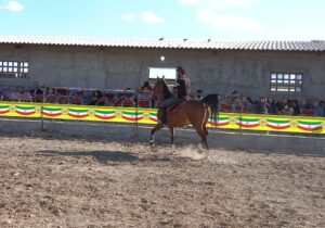 برگزاری جشنواره شو سواره اسب شمال غرب در مراغه
