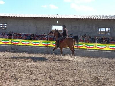 برگزاری جشنواره شو سواره اسب شمال غرب در مراغه