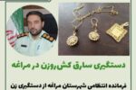 🔴دستگیری سارق کش‌روزن در مراغه