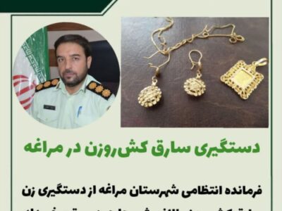 🔴دستگیری سارق کش‌روزن در مراغه