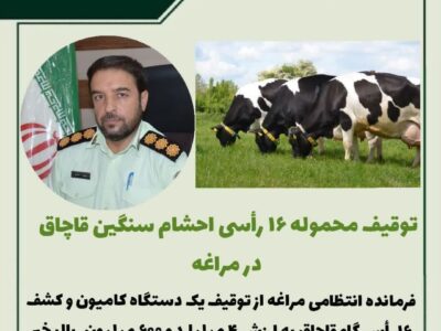 🔴 توقیف محموله ۱۶ رأسی احشام سنگین قاچاق در مراغه