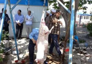 توزیع سه هزار بسته گوشت قربانی در مراغه