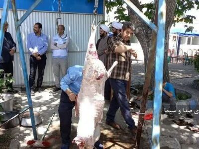 توزیع سه هزار بسته گوشت قربانی در مراغه