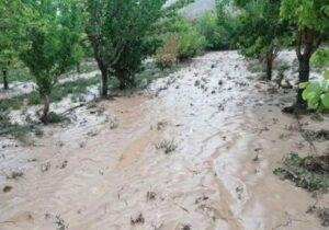 💢خسارت ۳۰۰ میلیارد تومانی سیل و تگرگ به بخش کشاورزی سراب