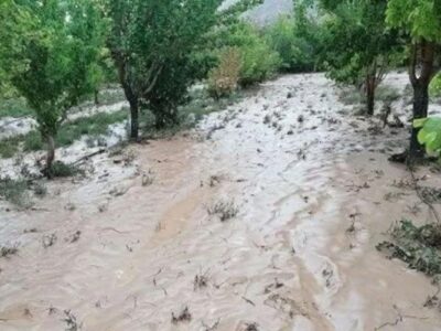 💢خسارت ۳۰۰ میلیارد تومانی سیل و تگرگ به بخش کشاورزی سراب