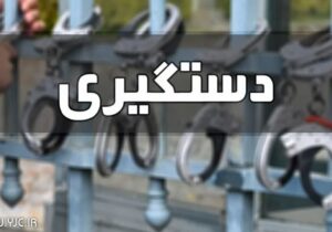 دستگیری سارقان اماکن خصوصی در مراغه