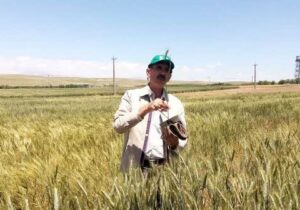 هشت رقم گندم و جو در موسسه تحقیقات کشاورزی دیم کشور رونمایی شد