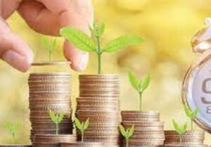 اختصاص ۱۸ میلیارد ۴۰۰ میلیون تومان تسهیلات به مشاغل خانگی در مراغه