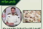 🔴کشف بیش از یک تن مرغ گرم خارج از شبکه توزیع در مراغه