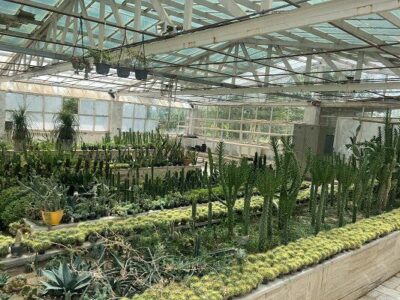 تولید نهال مقاوم به سرما در دانشگاه آزاد مراغه