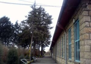 مرور خاطرات شیرین در هنرستان کشاورزی مراغه