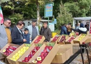 🔺تولید سالانه ۴ میلیون و ۲۰۰ هزار تن سیب در کشور