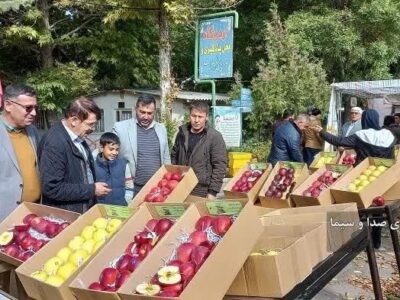 🔺تولید سالانه ۴ میلیون و ۲۰۰ هزار تن سیب در کشور