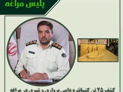 کشف ۲۵ تن کنسانتره دامی پرواری و شیری در مراغه