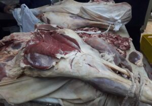 مدیر فروشگاه عرضه گوشت در مراغه زندانی ش