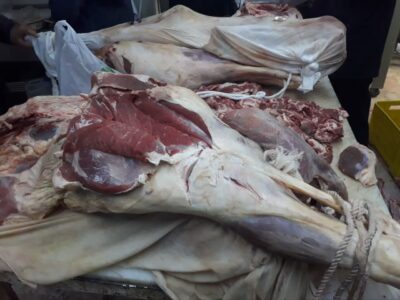 مدیر فروشگاه عرضه گوشت در مراغه زندانی ش