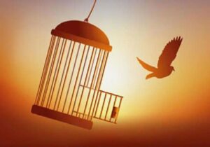 آزادی ۴زندانی جرائم غیر عمد مالی  به مناسبت ایام فاطمیه