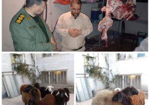 ذبح ۶ راس گوسفند توسط گروه جهادی پایگاه شهید مدنی (ره)