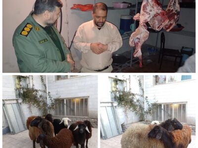 ذبح ۶ راس گوسفند توسط گروه جهادی پایگاه شهید مدنی (ره)