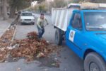 جمعآوری ۳۳۰ تن برگ درخت از معابر شهر مراغه