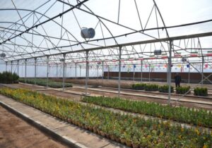 بهره‌برداری از گلخانه مکانیزه شهرداری مراغهبه گزارش پایگاه خبری مراغه سلام   به گفته شهردار مراغه برای ایجاد این گلخانه ۲۸۰ میلیارد ریال هزینه شده و از این پس تمام نیازهای سازمان فضای سبز شهرداری از جمله گل‌های فصلی، نهال، درختچه و بوته از این گلخانه تامین می‌شود.  رییس شورای اسلامی شهر مراغه نیز با بیان اینکه در سایه بهره‌برداری از این گلخانه مکانیزه، سازمان فضای سبز مراغه به خودکفایی می‌رسد، افزود: گیاهان در این گلخانه منطبق با شرایط اقلیمی مراغه تولید می‌شود.  «رضا عسکری» با تاکید بر اینکه کاهش هزینه‌های نگهداری فضای سبز شهری و افزایش بهره‌وری از جمله اهداف دیگر احداث این گلخانه مکانیزه است، ادامه داد: در طراحی و اجرای این طرح، استانداردهای لازم برای صرفه‌جویی در مصرف انرژی نیز رعایت شد.