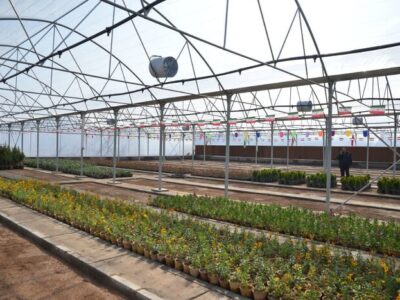 بهره‌برداری از گلخانه مکانیزه شهرداری مراغهبه گزارش پایگاه خبری مراغه سلام   به گفته شهردار مراغه برای ایجاد این گلخانه ۲۸۰ میلیارد ریال هزینه شده و از این پس تمام نیازهای سازمان فضای سبز شهرداری از جمله گل‌های فصلی، نهال، درختچه و بوته از این گلخانه تامین می‌شود.  رییس شورای اسلامی شهر مراغه نیز با بیان اینکه در سایه بهره‌برداری از این گلخانه مکانیزه، سازمان فضای سبز مراغه به خودکفایی می‌رسد، افزود: گیاهان در این گلخانه منطبق با شرایط اقلیمی مراغه تولید می‌شود.  «رضا عسکری» با تاکید بر اینکه کاهش هزینه‌های نگهداری فضای سبز شهری و افزایش بهره‌وری از جمله اهداف دیگر احداث این گلخانه مکانیزه است، ادامه داد: در طراحی و اجرای این طرح، استانداردهای لازم برای صرفه‌جویی در مصرف انرژی نیز رعایت شد.