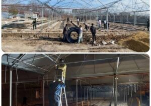 تلاش شبانه‌روزی سازمان سیما،منظر و فضای سبز شهرداری برای تکمیل گلخانه مکانیزه، آماده افتتاح در دهه فجر