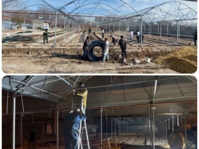 تلاش شبانه‌روزی سازمان سیما،منظر و فضای سبز شهرداری برای تکمیل گلخانه مکانیزه، آماده افتتاح در دهه فجر