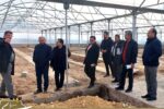 گلخانه مکانیزه شهرداری مراغه در آستانه افتتاح
