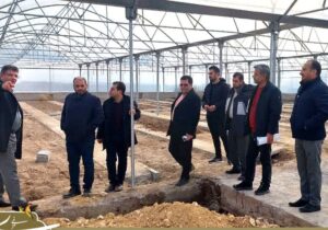 گلخانه مکانیزه شهرداری مراغه در آستانه افتتاح
