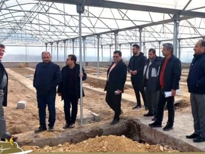 گلخانه مکانیزه شهرداری مراغه در آستانه افتتاح