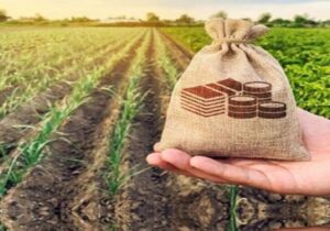 آغاز فعالیت صندوق شهرستانی حمایت از توسعه کشاورزی در مراغه و عجب شیر