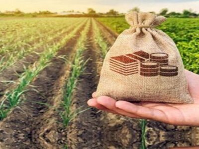 آغاز فعالیت صندوق شهرستانی حمایت از توسعه کشاورزی در مراغه و عجب شیر