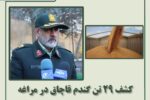 کشف ۲۹ تن گندم قاچاق در مراغه