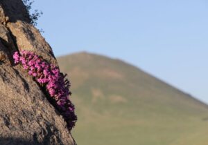 طبیعت‌گردی در مراغه؛ نگین گردشگری آذربایجان‌شرقی 