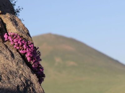 طبیعت‌گردی در مراغه؛ نگین گردشگری آذربایجان‌شرقی 