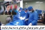 اهدای عضو نوجوان مراغه‌ای به سه بیمار نیازمند
