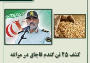 کشف ۲۵ تن گندم قاچاق در مراغه