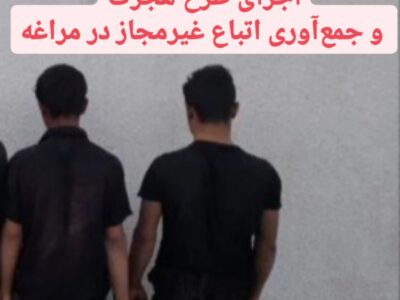 اجرای طرح هجرت و جمع‌آوری اتباع غیرمجاز در مراغه