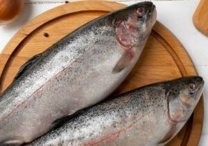 صادرات اولین محموله ماهیان قزل آلای مراغه به کشور عراق